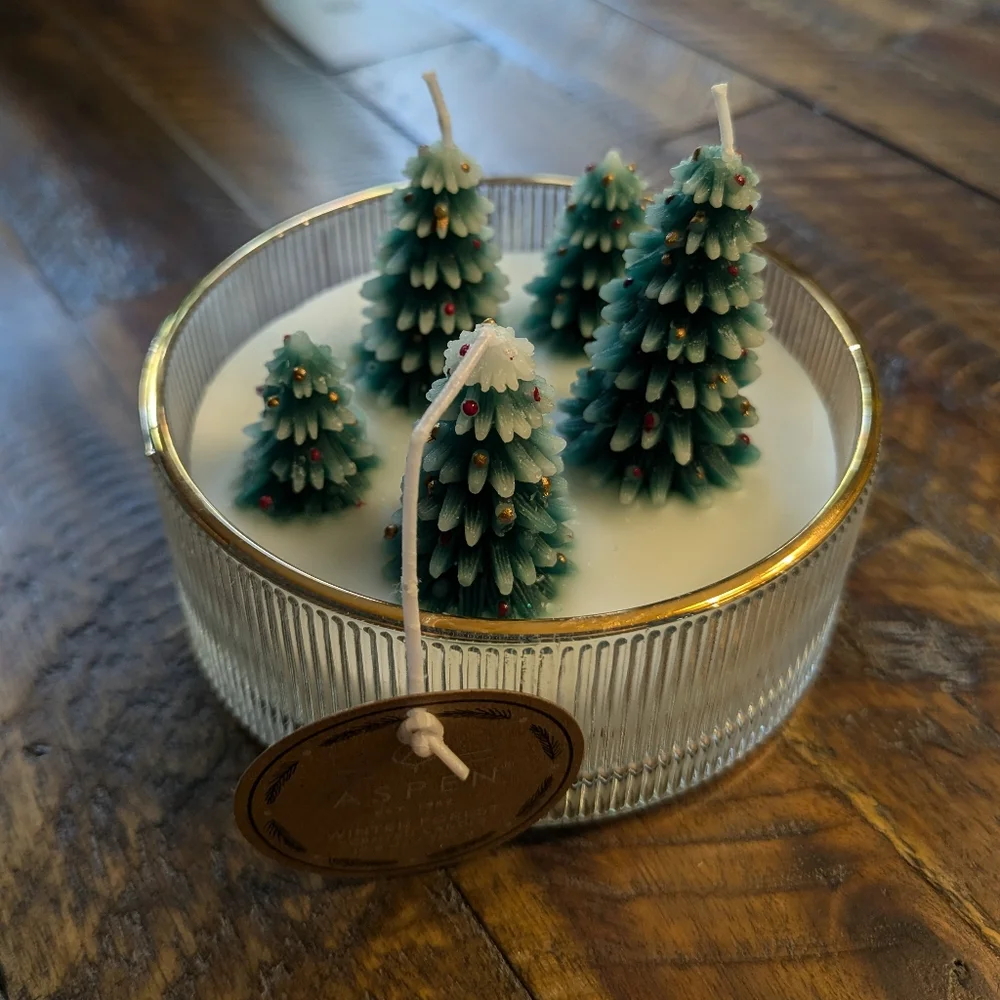 Viral Aspen Christmas Tree Candle Tiktok